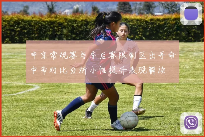 申京常规赛与季后赛限制区出手命中率对比分析小幅提升表现解读