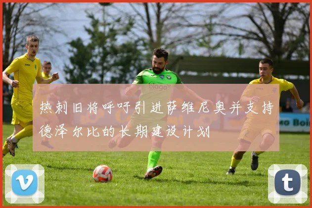 热刺旧将呼吁引进萨维尼奥并支持德泽尔比的长期建设计划